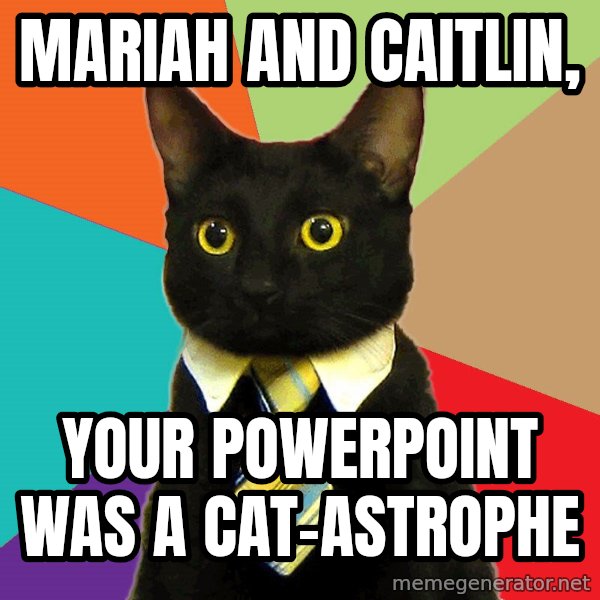 Business Cat meme: Mariah and Caitlin, / Your powerpoint was a cat-astrophe