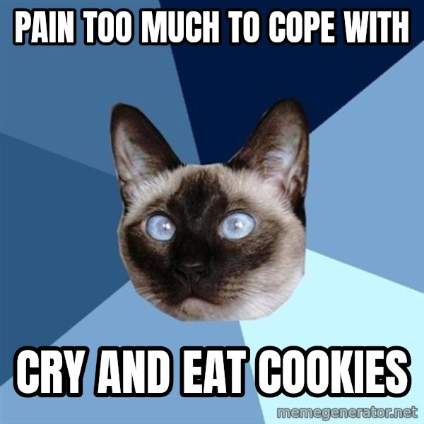 Chronic Illness Cat meme: PAIN TOO much to cope with / cry and eat cookies