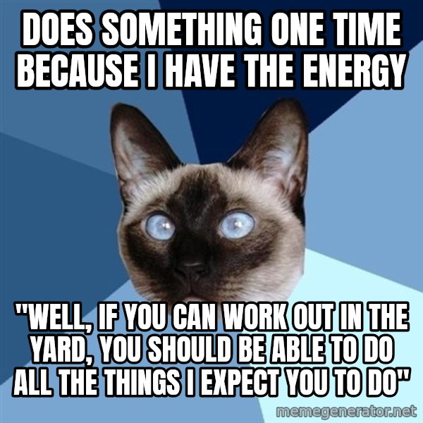 Chronic Illness Cat meme: does something one time because i have the energy / "well, if you can work out in the yard, you should be able to do all the things I expect you to do"