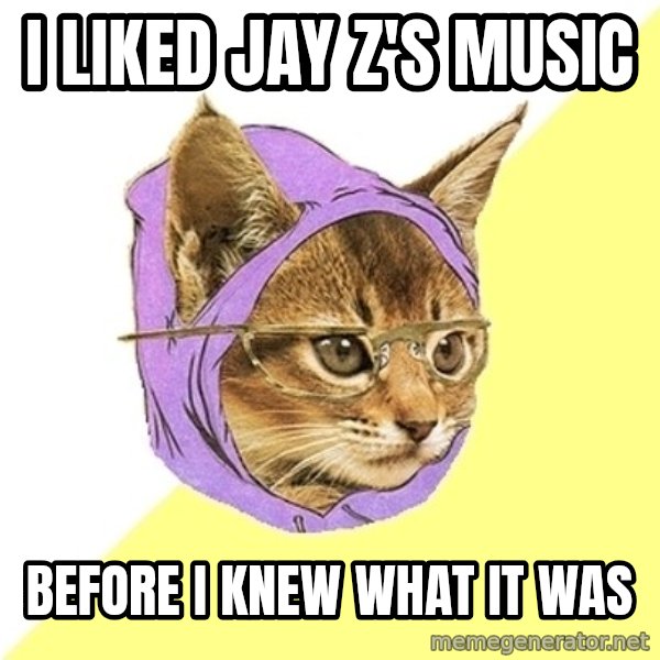 Hipster Kitty meme: I liked jay z's music / before i knew what it was