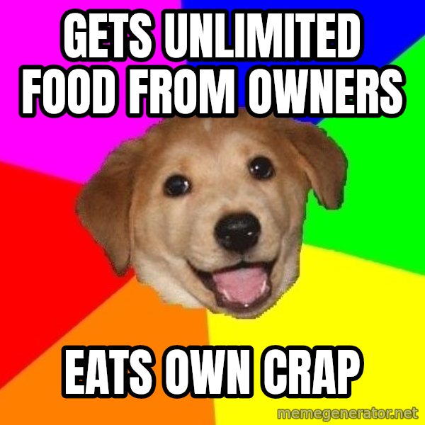 Advice Dog meme: Gets unlimited food from owners / eats own crap