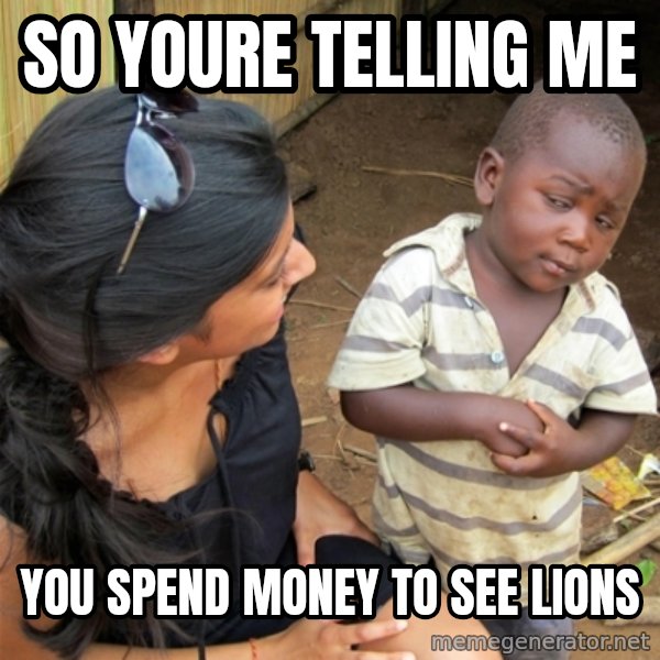 So You're Telling me meme: so youre telling me / you spend money to see lions