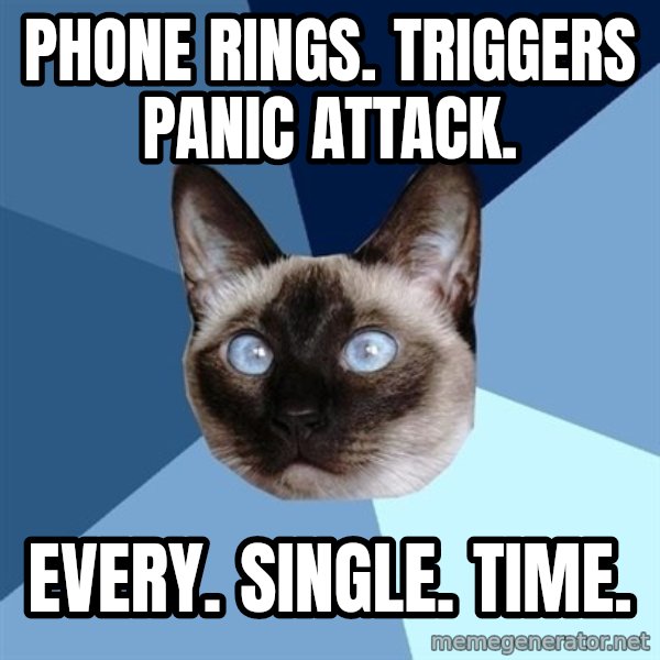 Chronic Illness Cat meme: Phone Rings. Triggers Panic Attack. / Every. Single. Time.