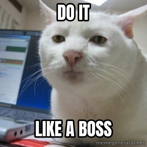 Serious Cat meme: do   it / like a boss