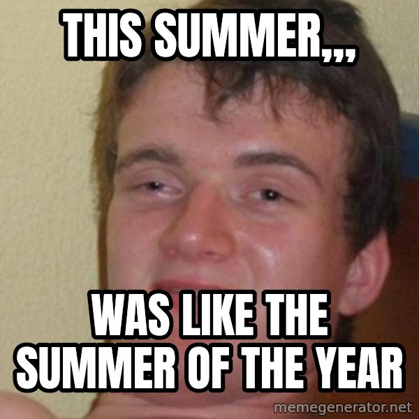 Really Stoned Guy meme: This summer,,, / was like the summer of the year