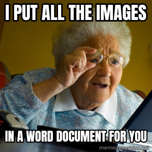 Internet Grandma Surprise meme: I Put all the images / in a word document for you