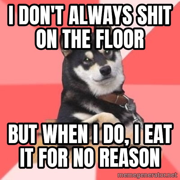 Cool Dog meme: i don't always shit on the floor / but when i do, i eat it for no reason