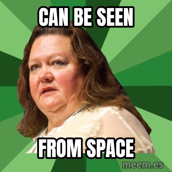 Dumb Whore Gina Rinehart meme: Can be seen / from space