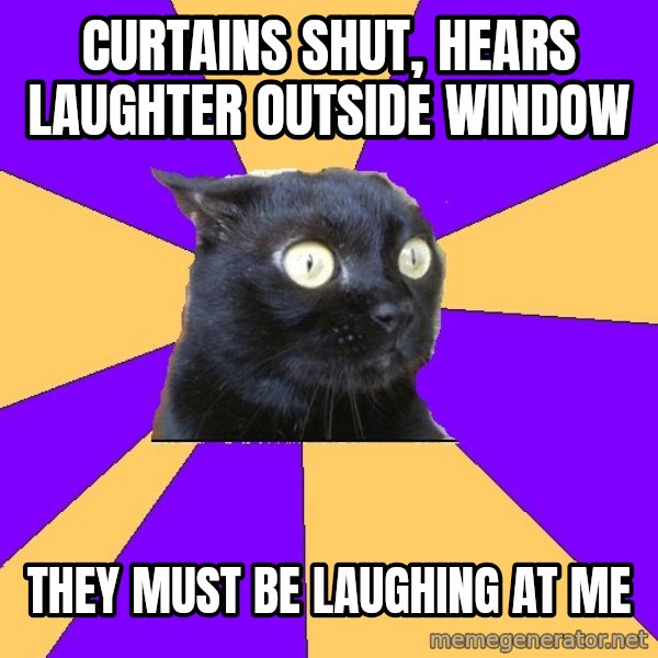 Anxiety Cat meme: CURTAINS SHUT, HEARS LAUGHTER OUTSIDE WINDOW / THEY MUST BE LAUGHING AT ME