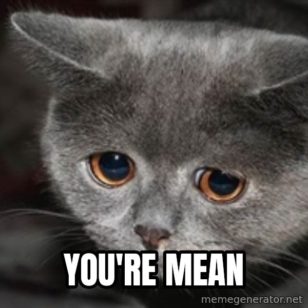Sadcat meme: YOU'RE MEAN