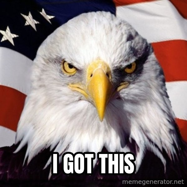 American Pride Eagle meme: ı got this