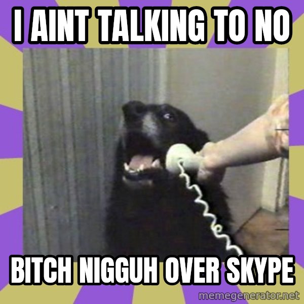 Yes, this is dog! meme: I AINT TALKING TO NO / BITCH NIGGUH OVER SKYPE