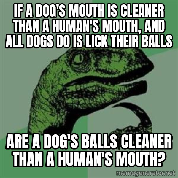 Philosoraptor meme: If a dog's mouth is cleaner than a human's mouth, and all dogs do is lick their balls / are a dog's balls cleaner than a human's mouth?