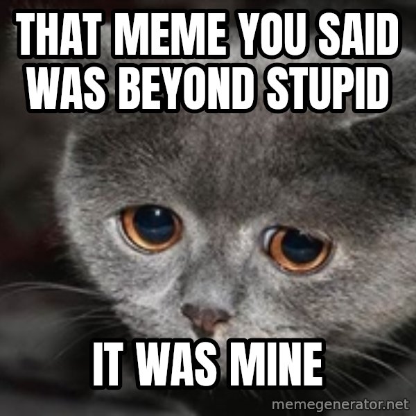 Sadcat meme: that meme you said was beyond stupid / it was mine