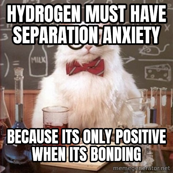 Science Cat meme: hydrogen must have separation anxiety / Because its only positive when its bonding