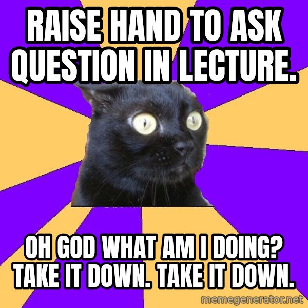 Anxiety Cat meme: Raise hand to ask question in lecture. / oh god What am I doing? take it down. take it down.