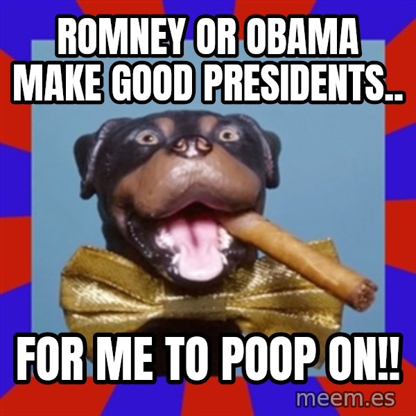 Triumph the Insult Comic Dog meme: romney or obama make good presidents.. / for me to poop on!!
