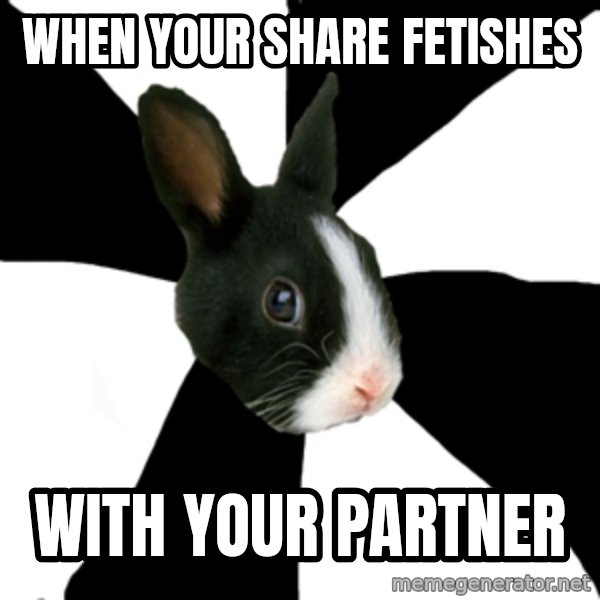 Roleplaying Rabbit meme: When your share fetishes / With your partner