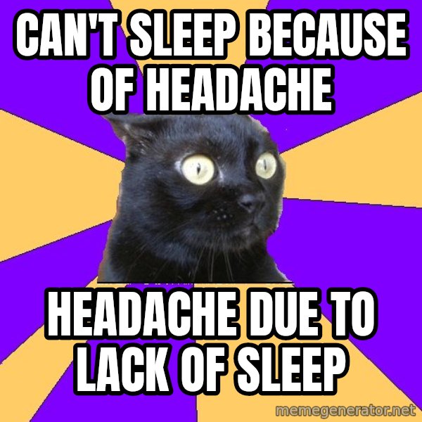 Anxiety Cat meme: can't sleep because of headache / headache due to lack of sleep