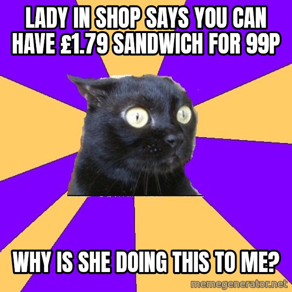 Anxiety Cat meme: Lady in shop says you can have £1.79 sandwich for 99p / Why is she doing this to me?