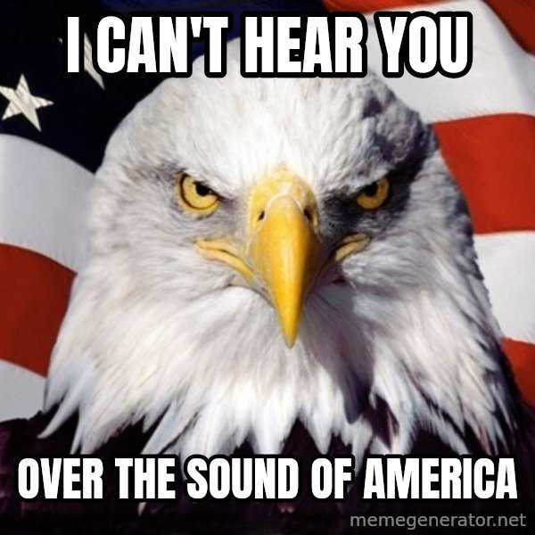 American Pride Eagle meme: I can't hear you / over the sound of America