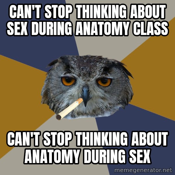 Art Student Owl meme: Can't stop thinking about sex during anatomy class / can't stop thinking about anatomy during sex