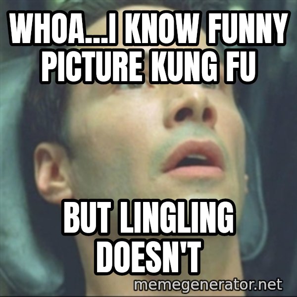 i know kung fu meme: whoa...i know funny picture kung fu / but lingling doesn't