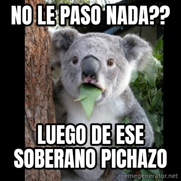 Koala can't believe it meme: no le paso nada?? / luego de ese soberano pichazo