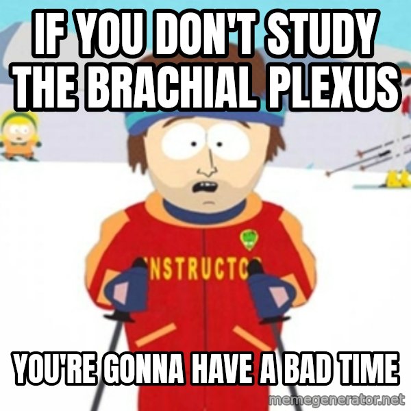 Bad time ski instructor 1 meme: If you don't study the brachial plexus / you're gonna have a bad time