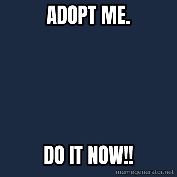Homeless Haitian Child meme: adopt me. / DO IT NOW!!