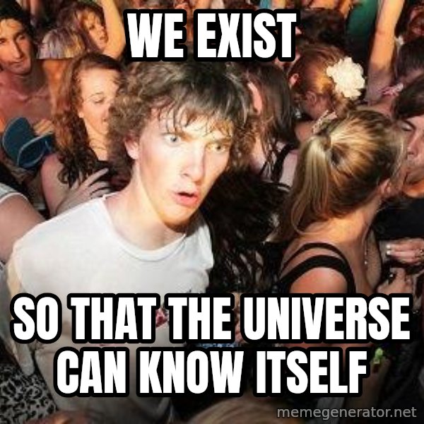 Sudden Realization Ralph meme: we exist / so that the universe can know itself