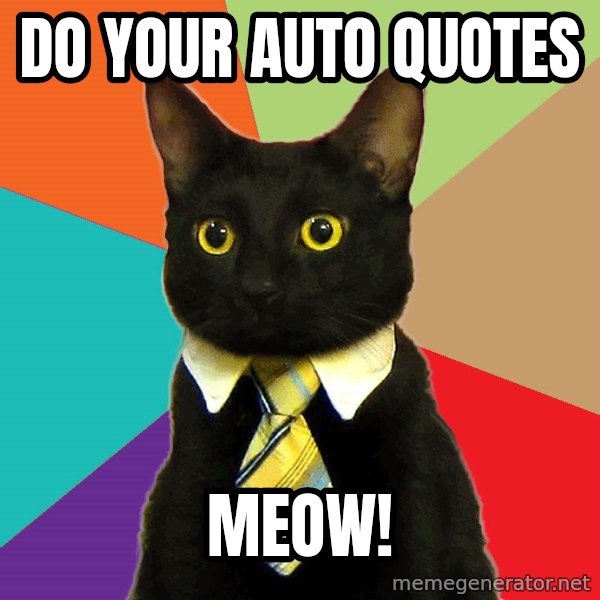 Business Cat meme: Do Your auto Quotes / MEOW!