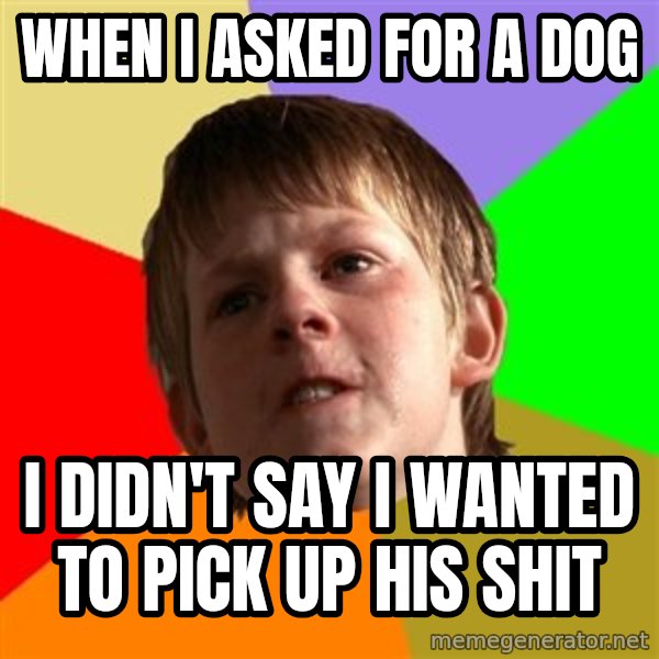 Angry School Boy meme: when i asked for a dog / i didn't say i wanted to pick up his shit