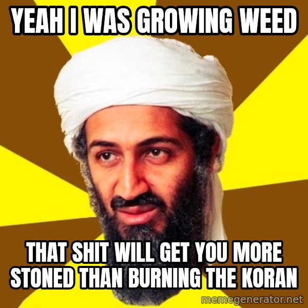 Osama meme: yeah I was growing weed / that shit will get you more stoned than burning the koran