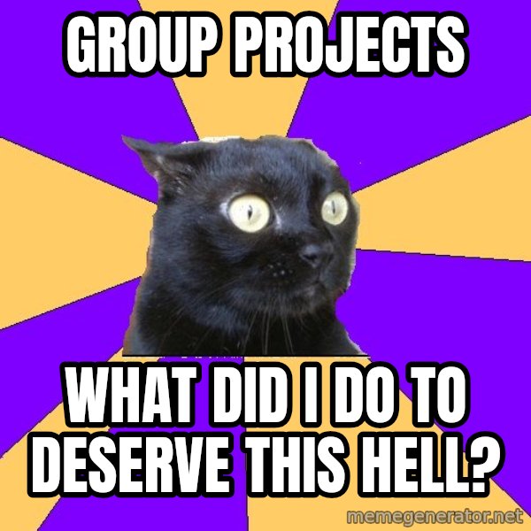 Anxiety Cat meme: Group projects / what did i do to deserve this hell?