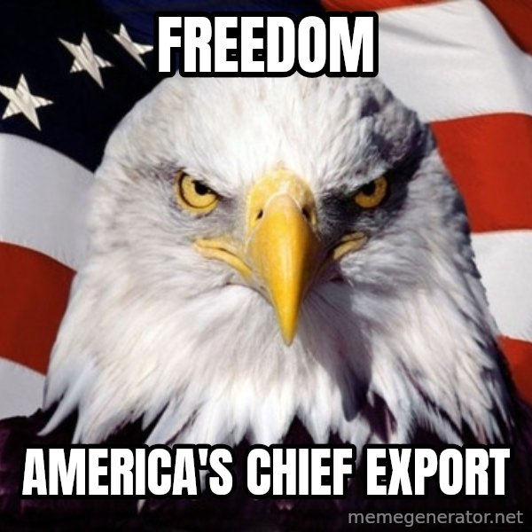 American Pride Eagle meme: freedom / america's chief export