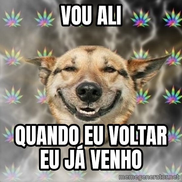 Stoner Dog meme: vou ali / quando eu voltar eu já venho