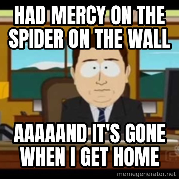 Aand Its Gone meme: Had Mercy on the spider on the wall / AAAAand It's gone when i get home