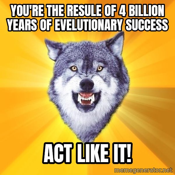 Courage Wolf meme: You're the resule of 4 billion years of evelutionary success / Act like it!