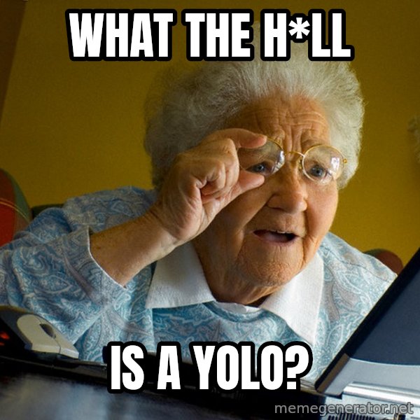 Internet Grandma Surprise meme: what the h*ll / is a yolo?