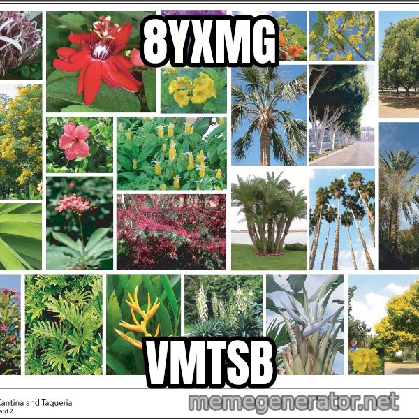 imageboard meme: 8yxMG / vMTsB