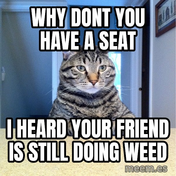 Chris Hansen Cat meme: Why dont you have a seat / I heard your friend is still doing weed