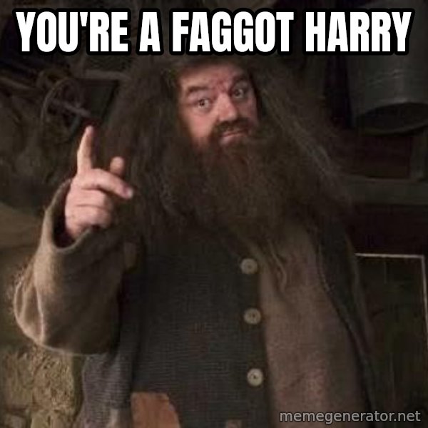 Hagrid meme: you're a faggot harry