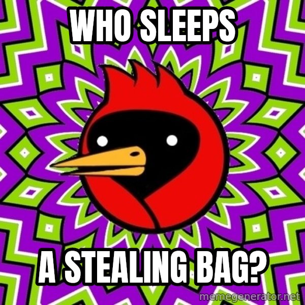 Omsk Crow meme: Who sleeps / A stealing bag?