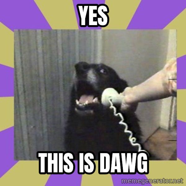 Yes, this is dog! meme: Yes / this is dawg