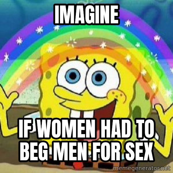 Imagination meme: imagine / if women had to beg men for sex
