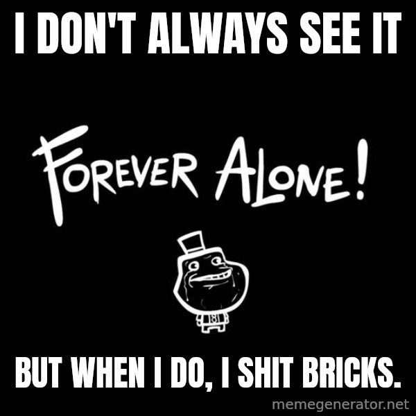 The Most Interesting Man In The World meme: i don't always see it / but when i do, i shit bricks.