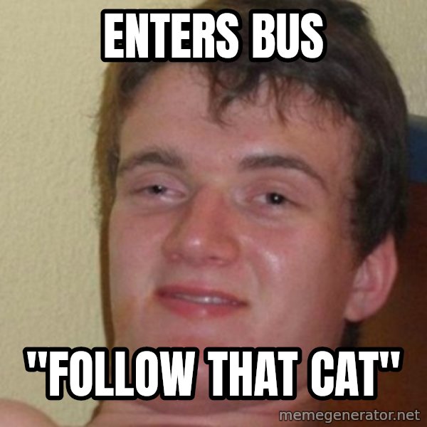 really high guy meme: enters bus / "follow that cat"