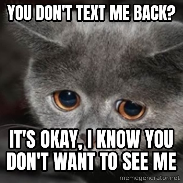 Sadcat meme: You don't text me back? / It's okay, i know you don't want to see me