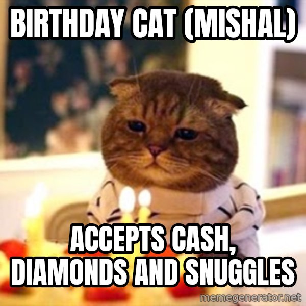 Birthday Cat meme: birthday cat (mishal) / accepts cash, diamonds and snuggles